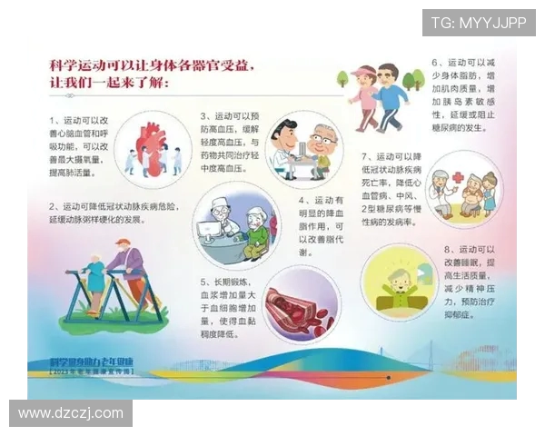 全面提升运动表现的科学训练方法与技巧解析