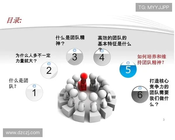 上海排球队战术解析:聚焦技术与团队协作的完美结合 上海排球队战术解析:聚焦技术与团队协作的完美结合