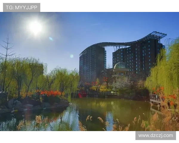 北京攀岩队转型升级之路：探索新模式与未来发展方向