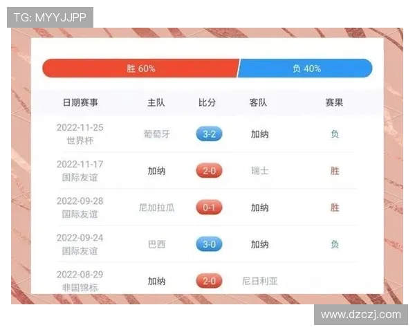 南京排球队在世界杯中的耐力表现与战术分析探讨