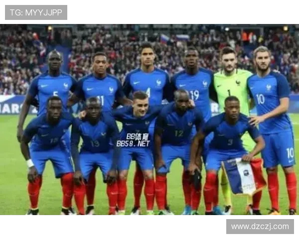 杭州羽毛球队进攻革新之路探索与实践的深度剖析